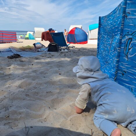 Tag 9: auf der Insel Poel